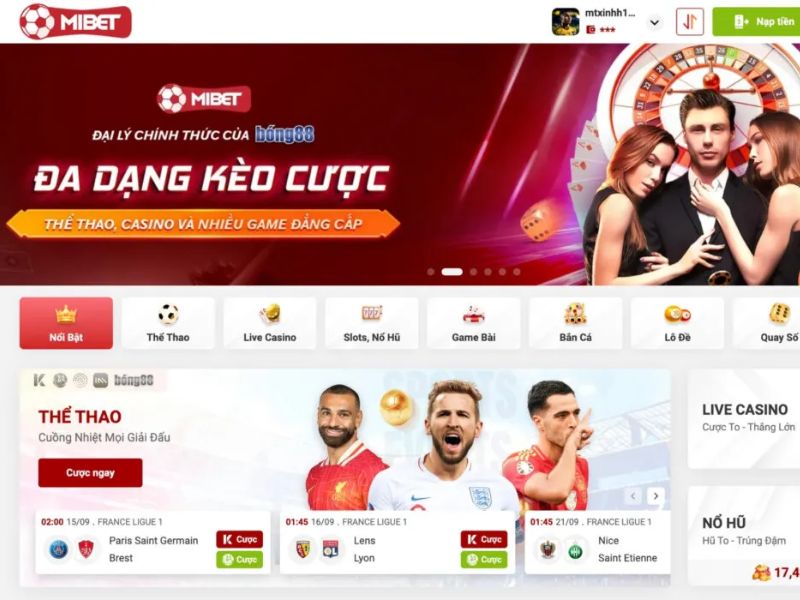 MIBET - Trò chơi cá cược trực tuyến thú vị, tỷ lệ thắng cao 3 mibet-2