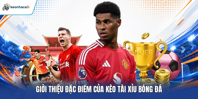 Kèo Tài Xỉu - Khái Niệm, Cách Đọc Tỷ Lệ Và Mẹo Cược Chuẩn 2 Giới thiệu đặc điểm của kèo tài xỉu bóng đá