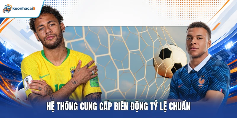 Hệ thống cung cấp biến động tỷ lệ chuẩn