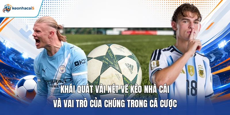 Keonhacai5 2 Khái quát vài nét về kèo nhà cái và vai trò của chúng trong cá cược