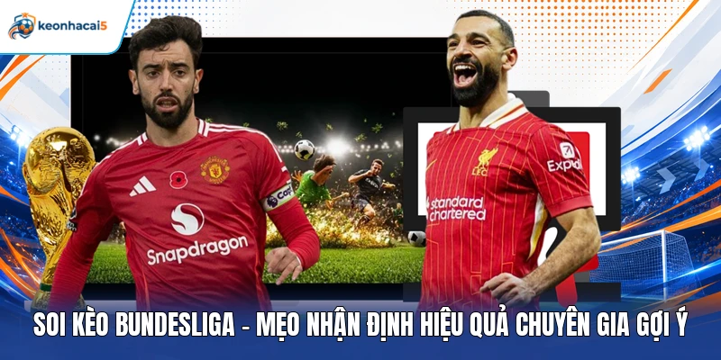 Soi Kèo Bundesliga - Mẹo Nhận Định Hiệu Quả Chuyên Gia Gợi Ý 1 soi kèo Bundesliga