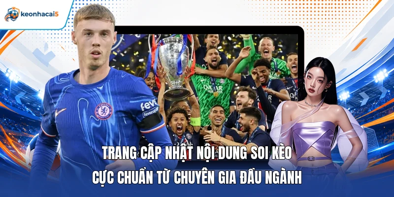 Trang cập nhật nội dung soi kèo cực chuẩn từ chuyên gia đầu ngành